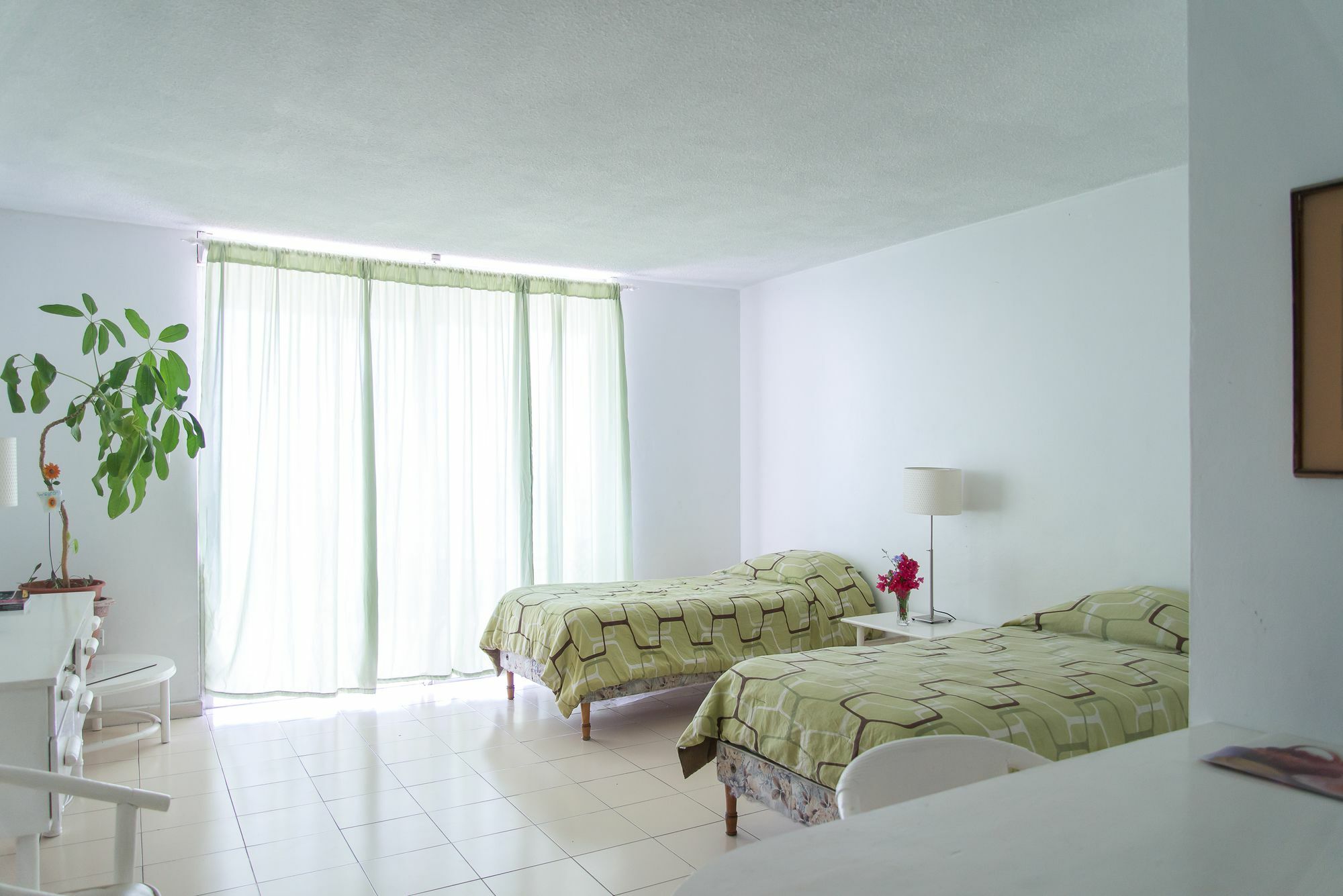 Montego Bay Club Apartments Extérieur photo
